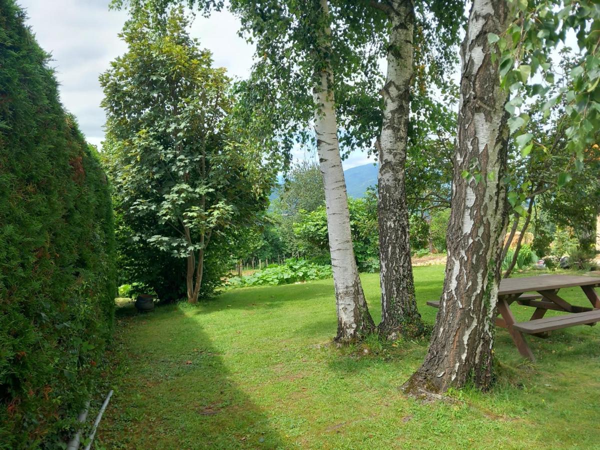 Maisonnette A La Campagne Ariege Βίλα Saint-Girons  Εξωτερικό φωτογραφία
