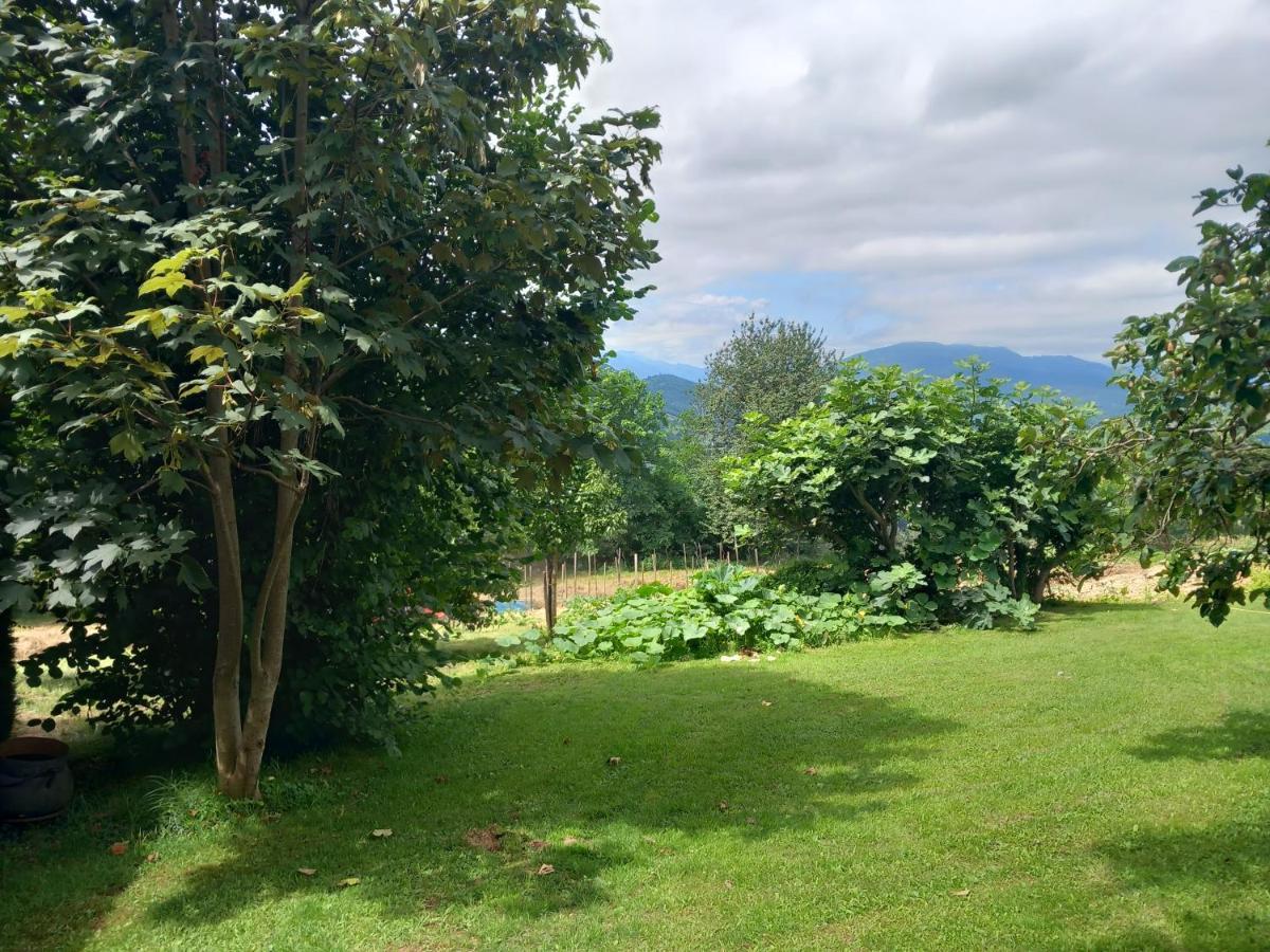 Maisonnette A La Campagne Ariege Βίλα Saint-Girons  Εξωτερικό φωτογραφία